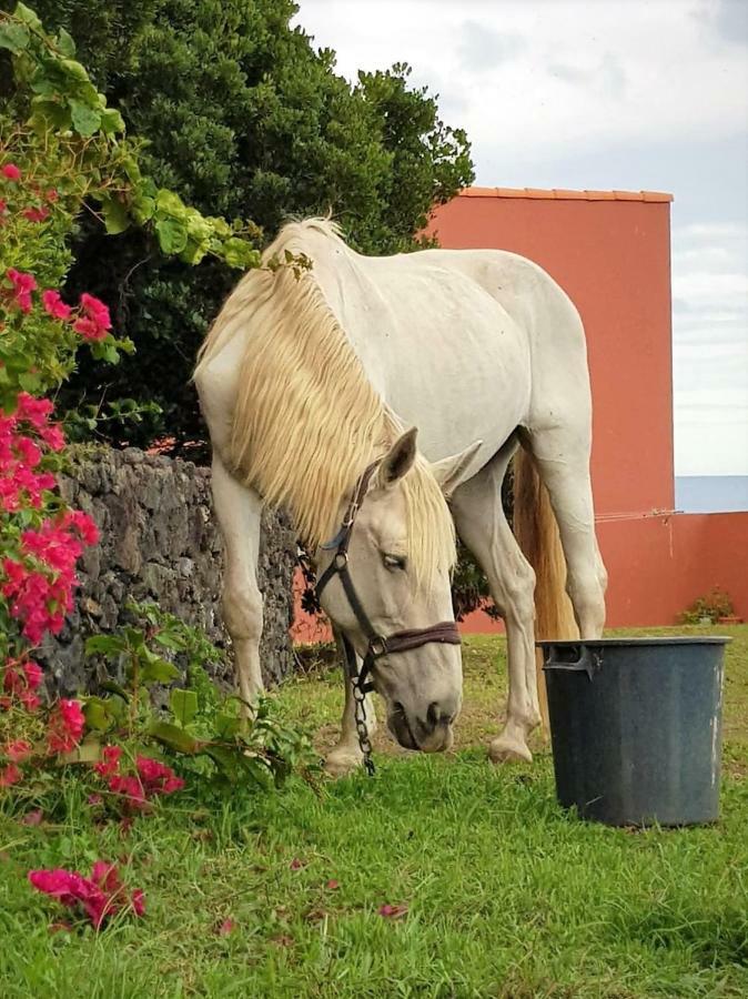 Quinta Da Falesia - Casa Amarela Понта-Делгада Экстерьер фото